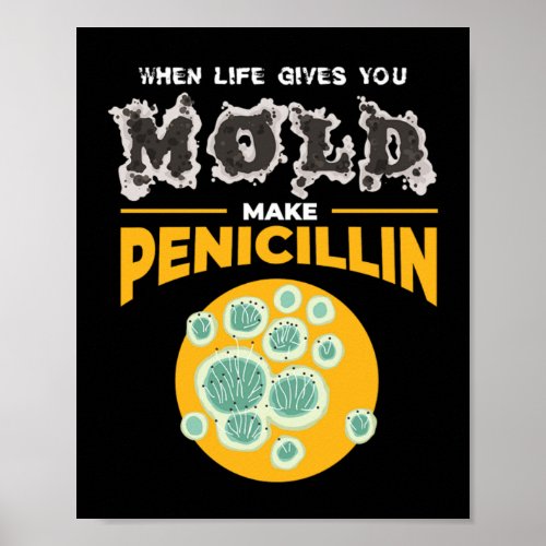 Make Penicillin Microbiology Chemistry Poster
