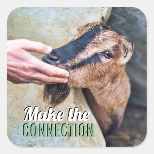 Make the connection vegan with friendly goat square sticker