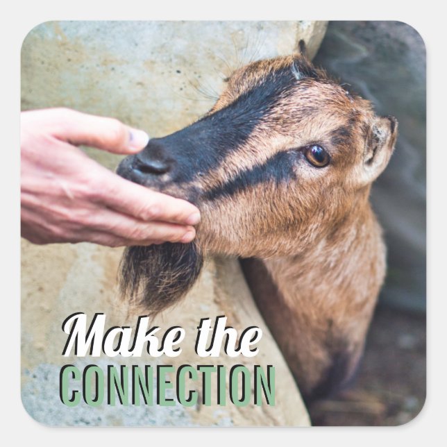 Make the connection vegan with friendly goat square sticker (Front)