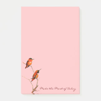 Make the Most of Today: Rufous Hummingbirds Art Post-it Notes