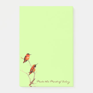 Make the Most of Today: Rufous Hummingbirds Art Post-it Notes