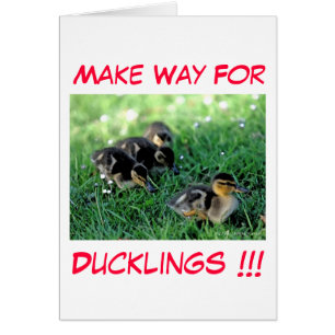 Make Way For Ducklings!!! Cards