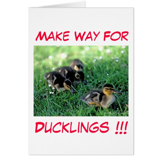 Make Way For Ducklings!!! Cards (Front)