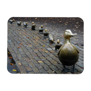 Make Way For Ducklings! Magnet