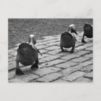 Make Way for Ducklings