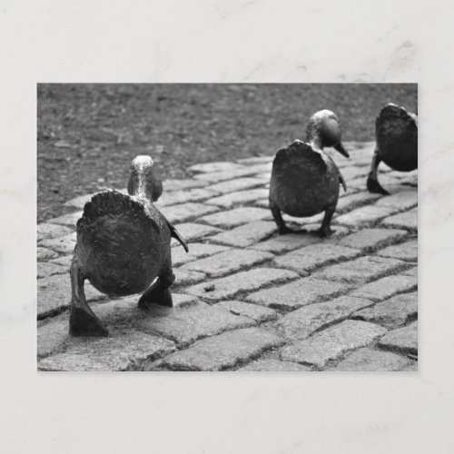 Make Way for Ducklings Postcard