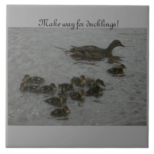 Make Way for ducklings! Tile