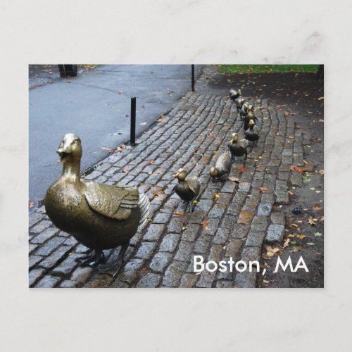 Make Way For The Ducklings Postcard