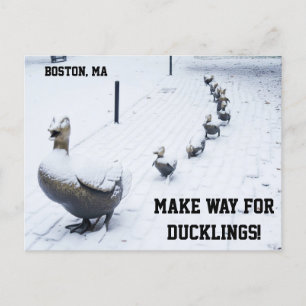 Make Way For The Ducklings Postcard