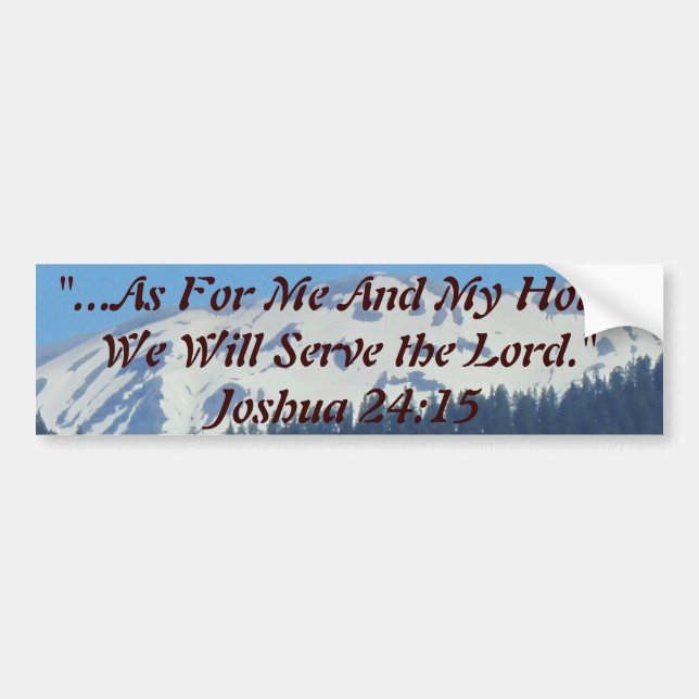 Make your car a reflection of you! Get your point Bumper Sticker (Front)