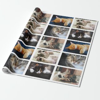 Make Your Own 5 Photo Collage on White Wrapping Paper
