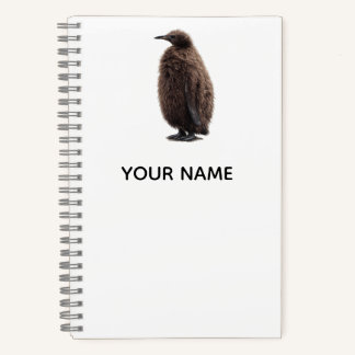 Make Your Own Antarctic Character Kids Notebook
