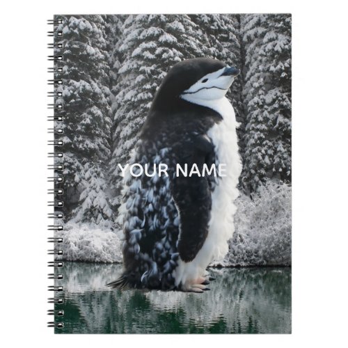 Make Your Own Antarctic Character Photo Notebook