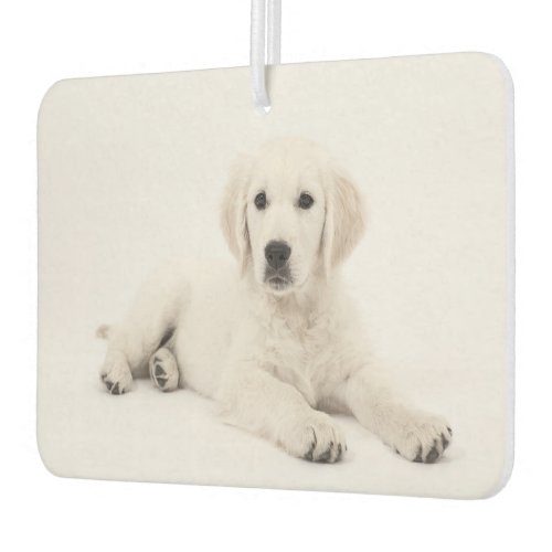 Make Your Own Both Sides Pet Photo Custom Unique Air Freshener