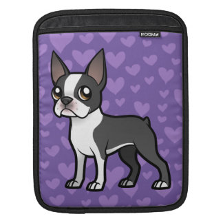 Make Your Own Cartoon Pet Sleeve For iPads