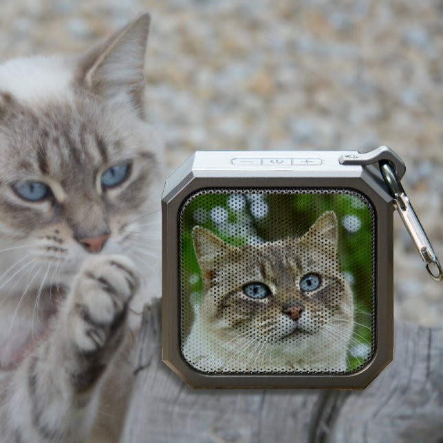 Make Your Own Custom Pet Photo Bluetooth Speaker (Music and Memories, Furry Love! 🐾🎶)