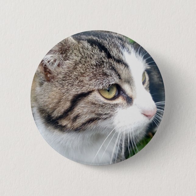 Make your own custom pet photo buttons (Front)