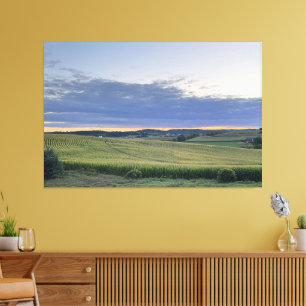 Make Your Own Custom Photo or Image Large Canvas Print