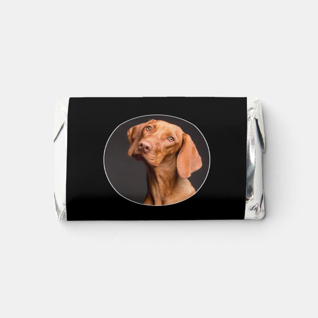 Make Your Own Custom Photo or Picture Hershey's Miniatures (Front)