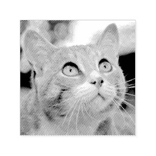 Make Your Own Custom Photo Stamp Pet Cat Image