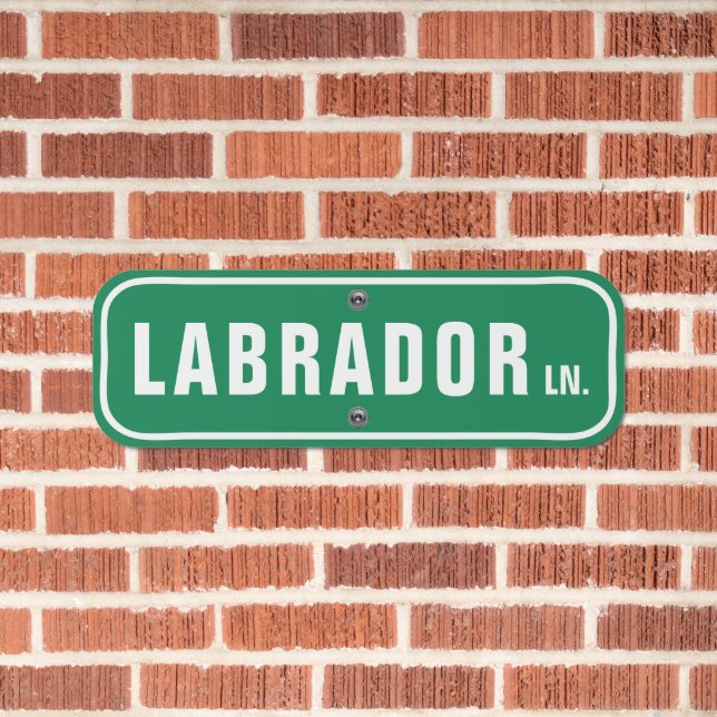 Make Your Own Dog Breed Custom Personalized Street Metal Sign (In Situ(Brick))