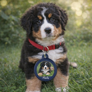 Make your own dog photo name contact information pet tag