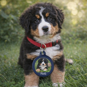 Make your own dog photo name contact information pet tag