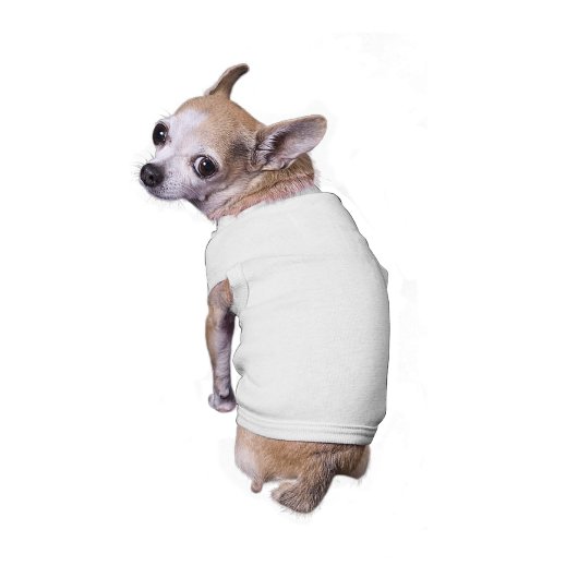 Make Your Own Doggie Clothes (Back)