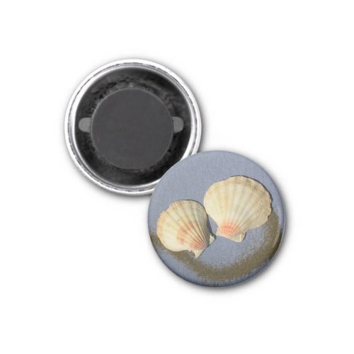  Make Your Own Magnet_ Beach Shells Magnet