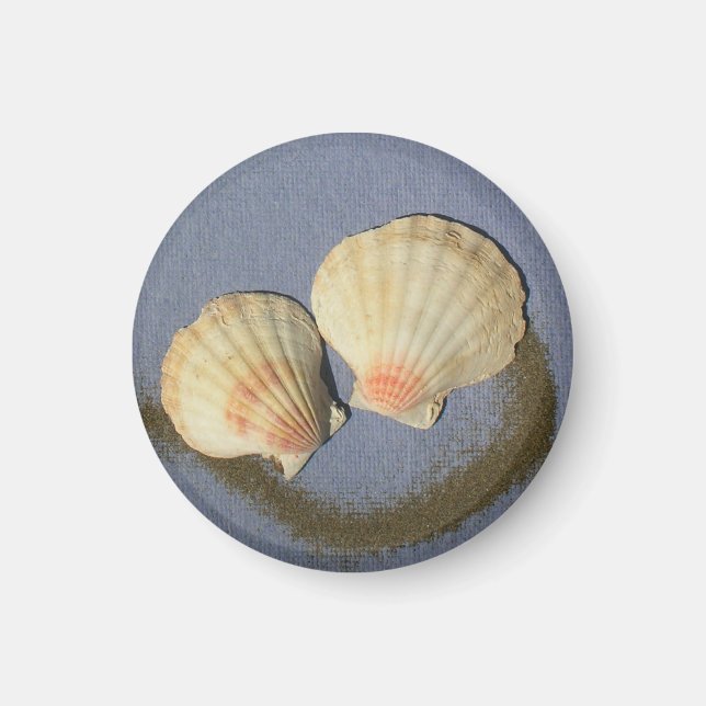 " Make Your Own Magnet- Beach Shells Magnet (Front)