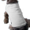 Make Your Own Pet Clothing