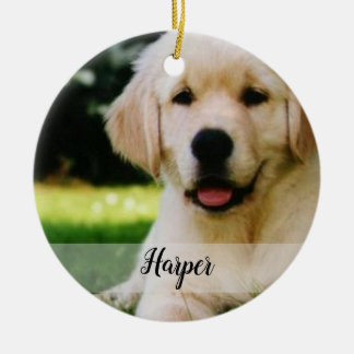 Make Your Own Pet Ornament