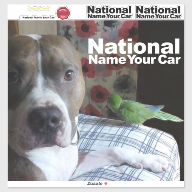 Make your own pet sticker. National name your car Sticker (Sheet)