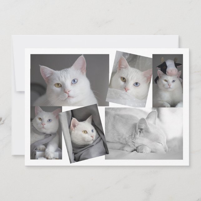 Make Your Own Photo Collage Personalized Card (Front)