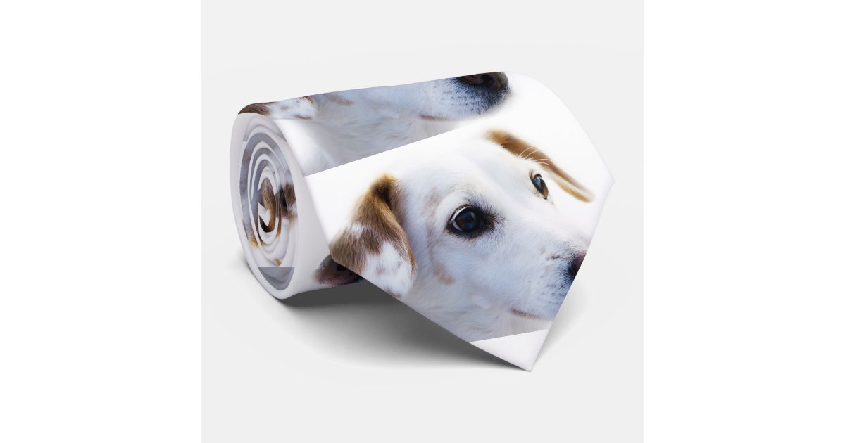 customize your own tie