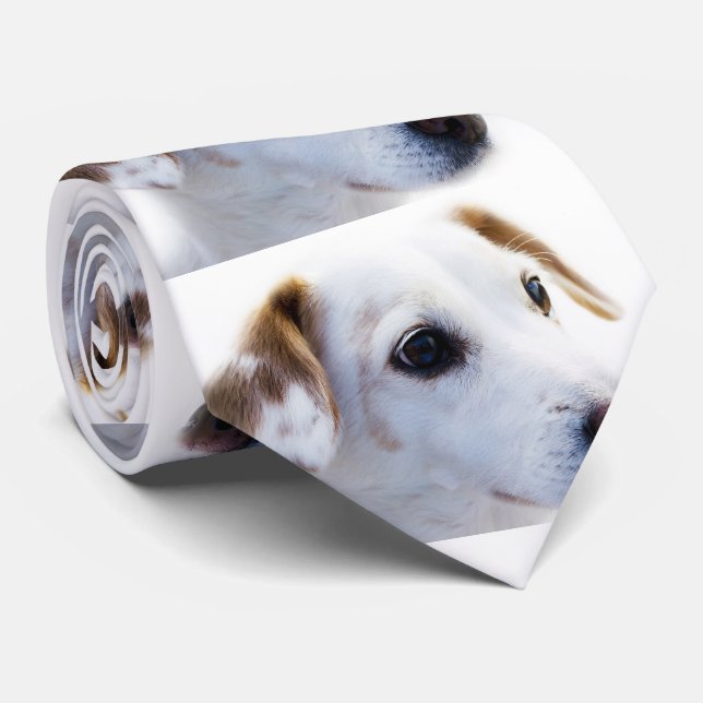 Make Your Own Tie (Rolled)