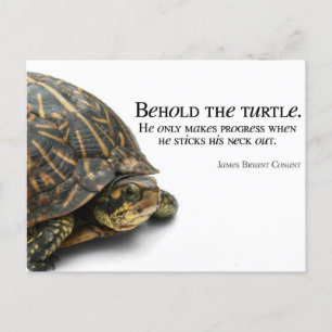 Makes Progress Postcard