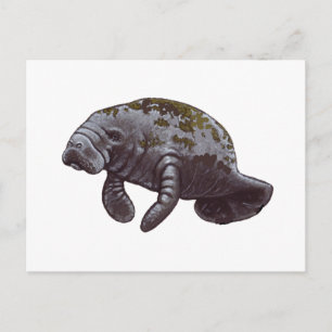 MAKES US HAPPY POSTCARD