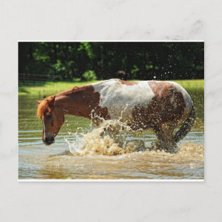 Making a splash postcard