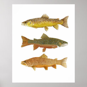 Making a Tiger Poster