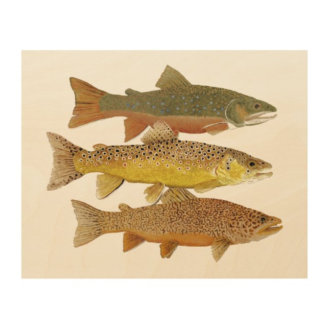 Making a Tiger Trout Wood Canvas Print (Front)