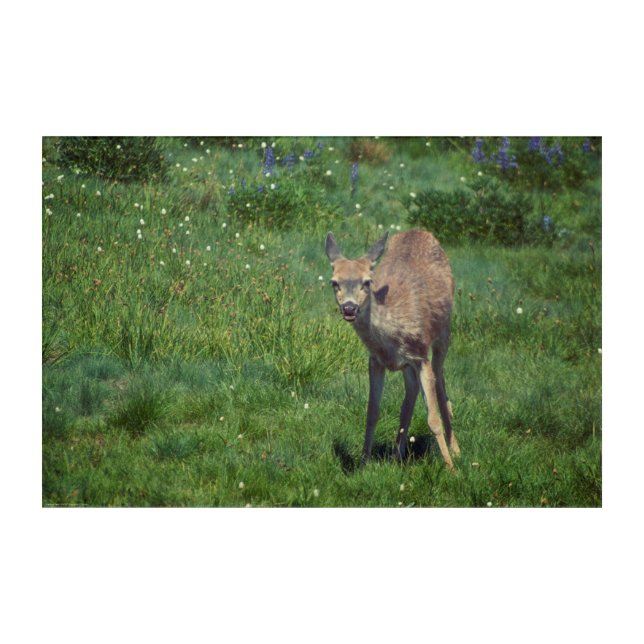 Making Face Acrylic Print (Front)