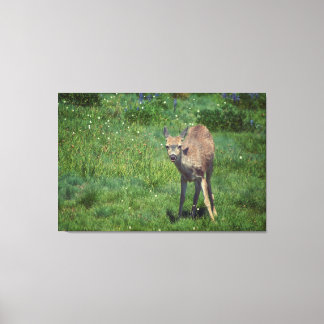 Making Face Canvas Print