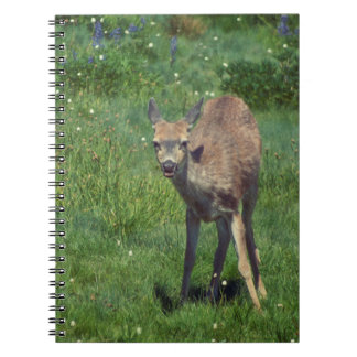 Making Face Notebook