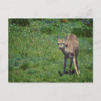 Making Face Postcard