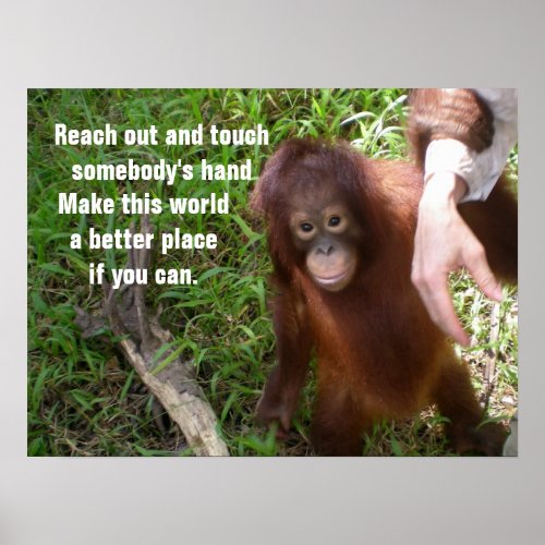 Making Friends Orangutan Wildlife Poster