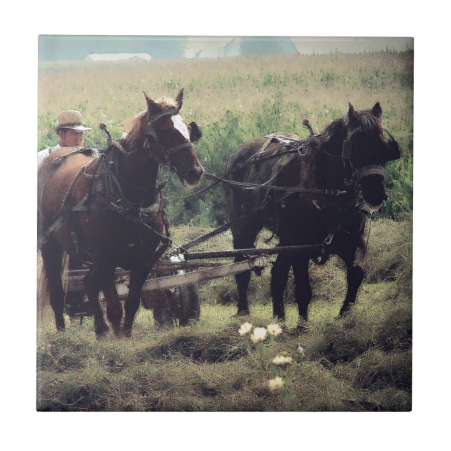 Making Hay With Horses Tile (Front)