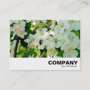 Making Honey Business Card