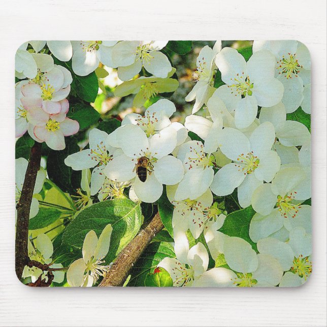 Making Honey Mouse Pad (Front)