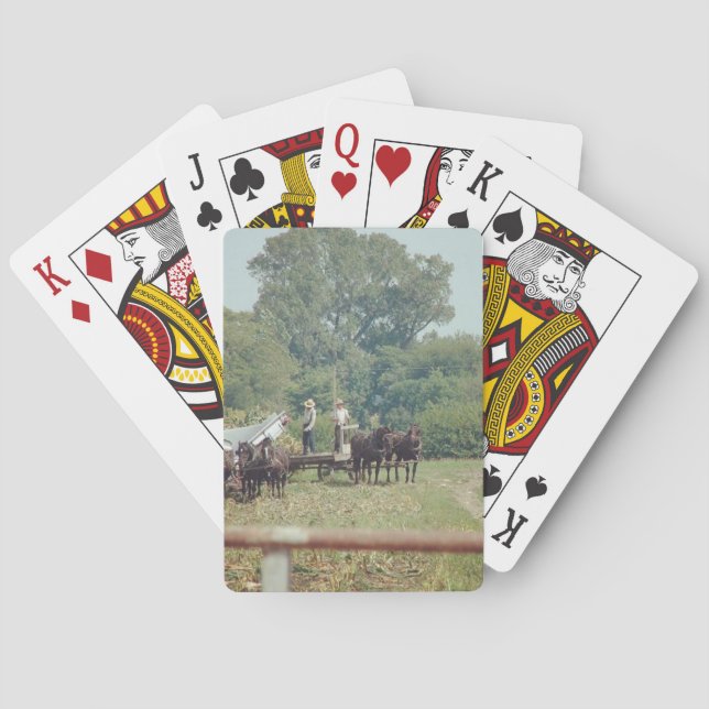 Making Silage #amishcountry #farmlife #amish Poker Cards (Back)